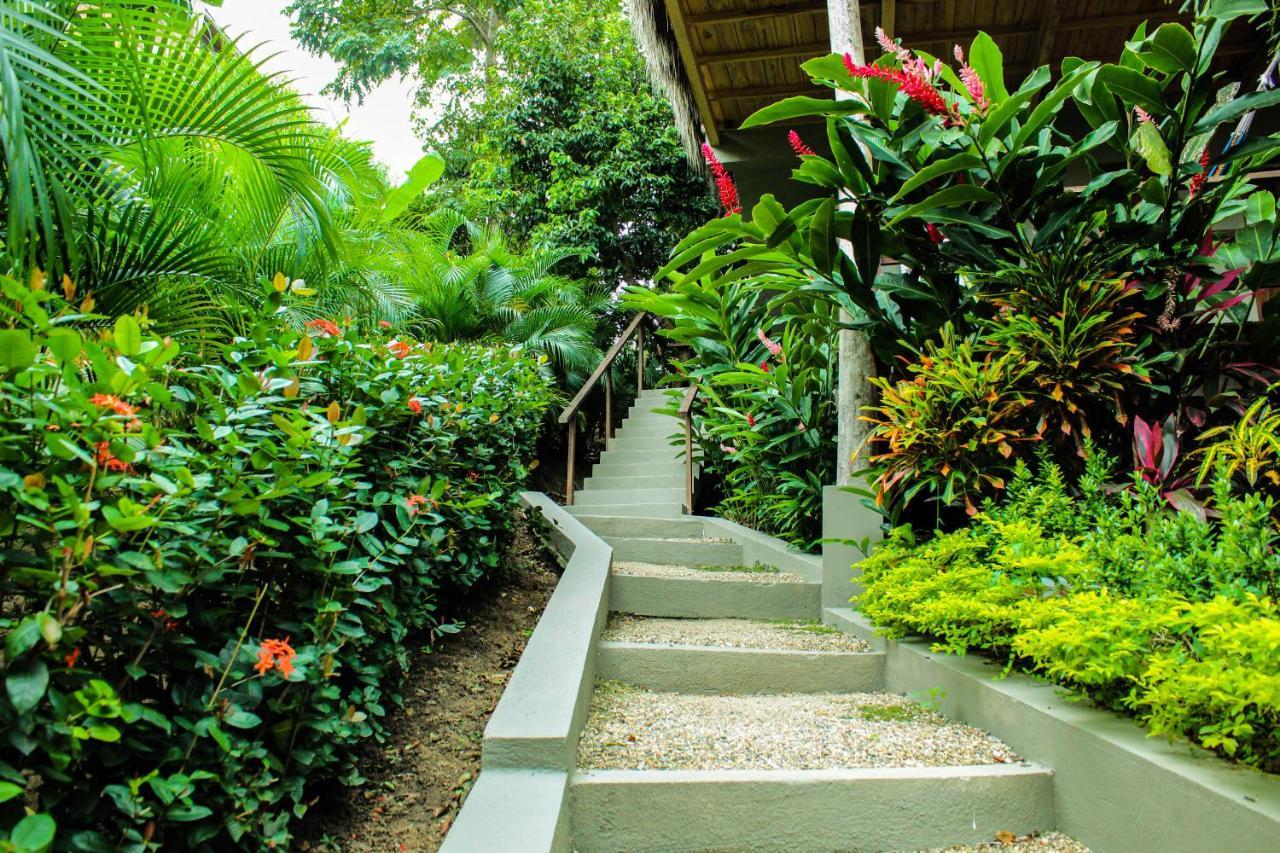 לוס נרנחוס Hotel Isabella Tayrona מראה חיצוני תמונה