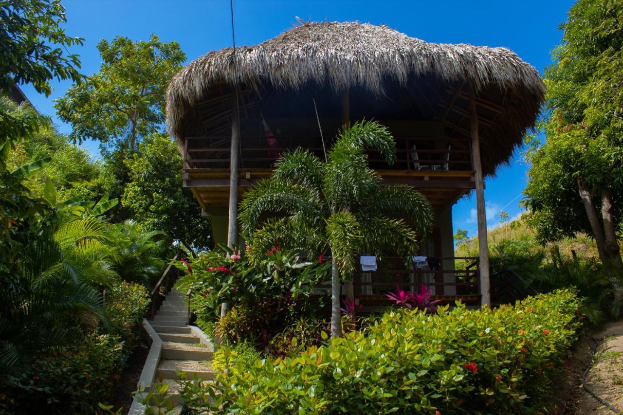 לוס נרנחוס Hotel Isabella Tayrona מראה חיצוני תמונה